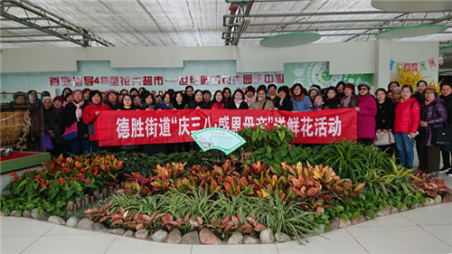 mmexport1520306330743_副本_副本.jpg
