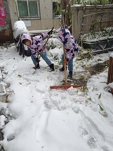 社区居民扫雪1.jpg