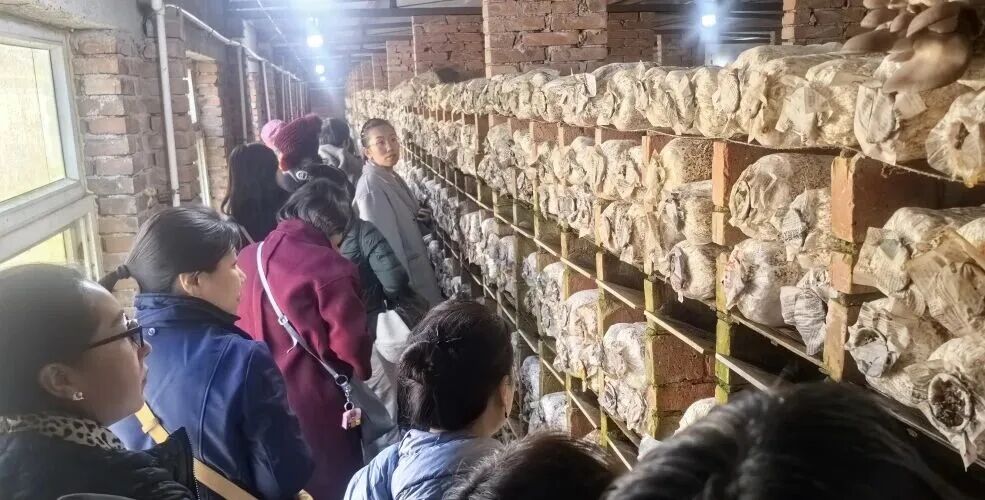 1762327041120042631.jpg 1762327041120042631.jpg