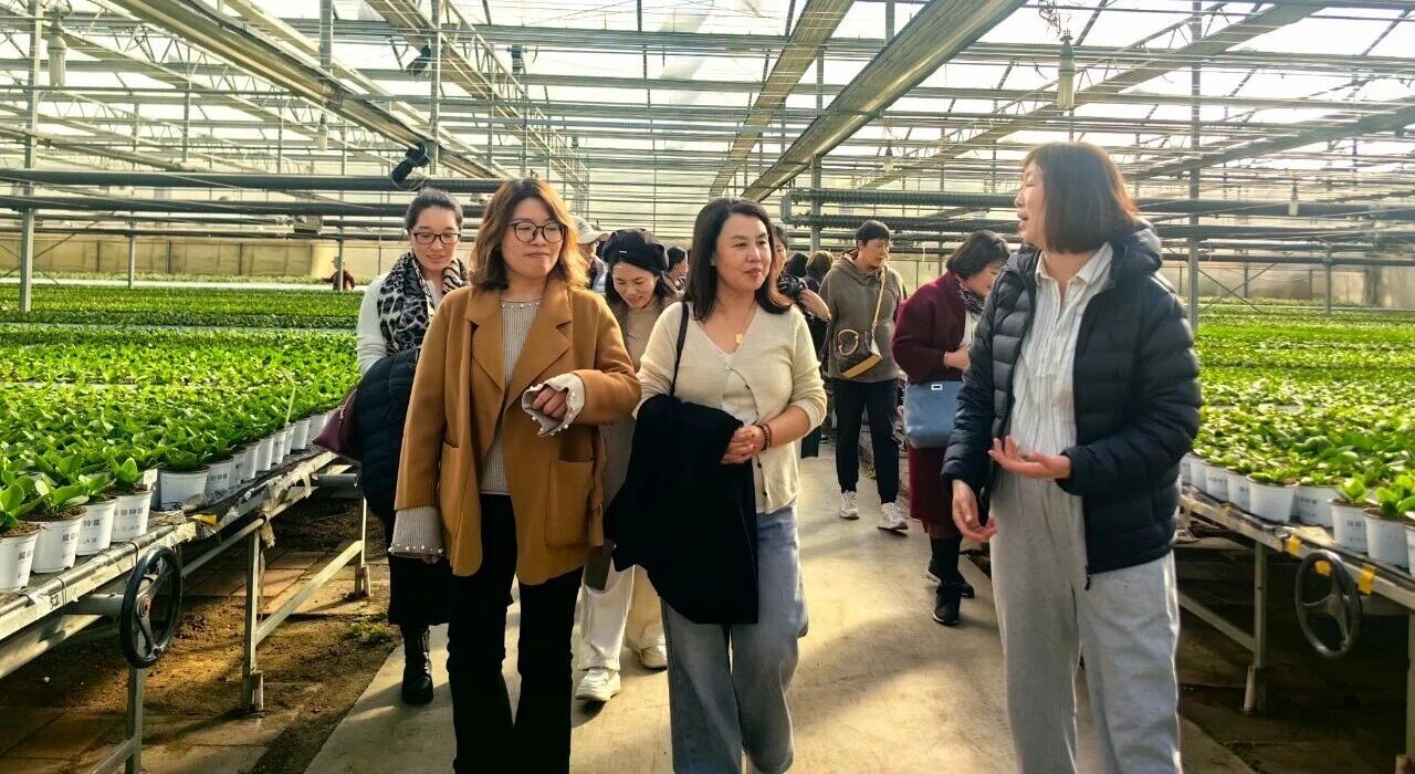 1762327047434070800.jpg 1762327047434070800.jpg