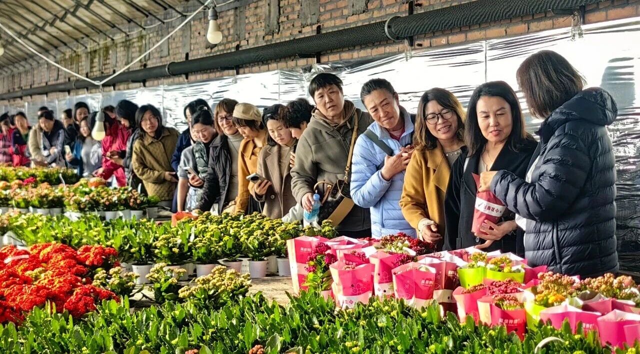 1762327050598062628.jpg 1762327050598062628.jpg