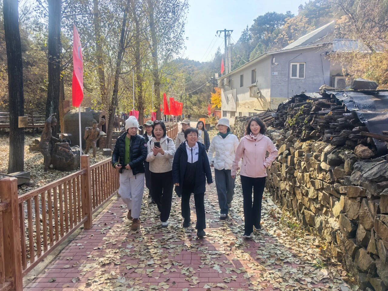 1762743539742005286.jpg 1762743539742005286.jpg